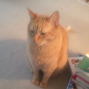 Meet your Posher, Doris